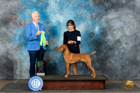 Viszla #6 Sun OHG2 Judge Dr Steve Keating