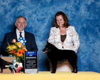 #21 S2 BOW Kristen Henry Judge Rodney Merry