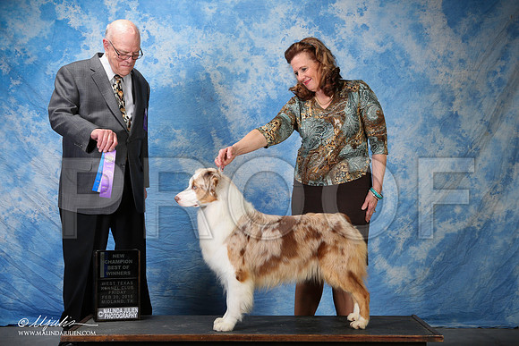 SS2_0675-2-BeltonJan2015IABCA-HR3