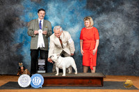 Bulldog #12 Sat G4 Judge Jim Fehring
