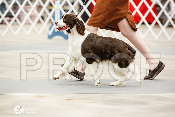 _JN_0498-AblnMay2014-web
