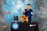 Pomeranian #12 Sun BOSGrCh Judge Tim Robbins