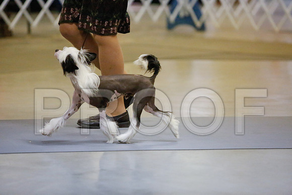_JJ_2026-AmarilloSept2014-HR3