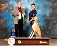 Azawakh #21 Sun RAE Judge Robert Margolis