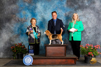 Beagle 13 #9 Sat OHBIS Judge Polly Smith