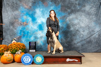 Bullmastiff #12 Sat RWB Judge Steve Keating