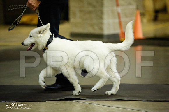 _JJ_6172-BeltonJan2015IABCA-HR3