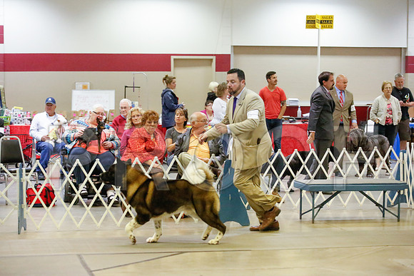 _JJ_0306-AmarilloSept2014-HR3