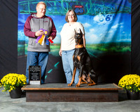 Doberman Pinscher Sandy Woodruff 1