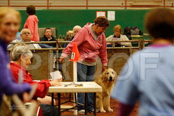 FOpen20-0581-WFOct2013-HR