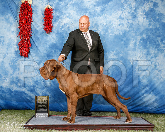 _ST_3761-2-AlamogordoOct2014-HR3