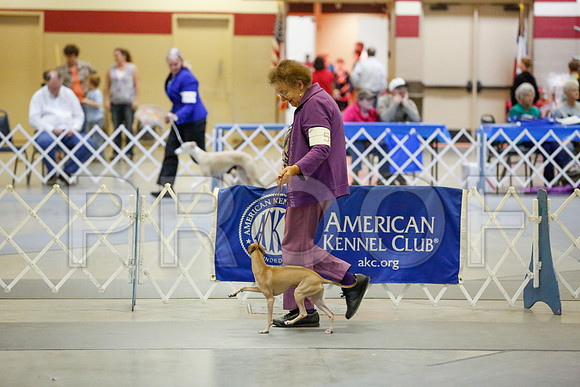 _JJ_8433-AmarilloSept2014-HR3