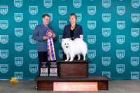 American Eskimo #116 Fri ABIS DGCH Judge Antonio Raposo