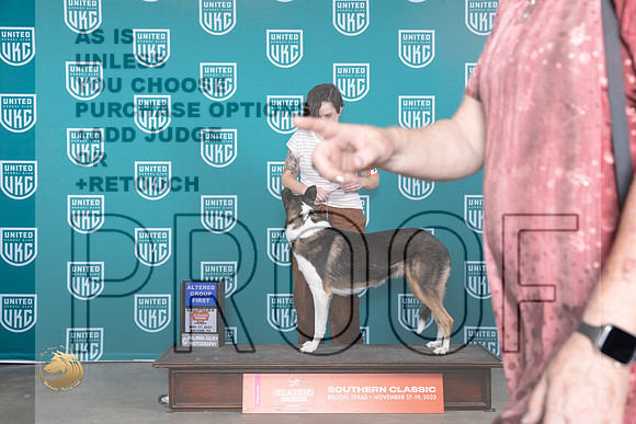 Collie Smooth #132 Fri AG1 Judge Polly Drake Jones_JP_2875_UKCBeltonNov_2023_HR3