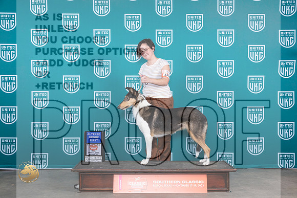 Collie Smooth #132 Fri AG1 Judge Polly Drake Jones_JP_2877_UKCBeltonNov_2023_HR3