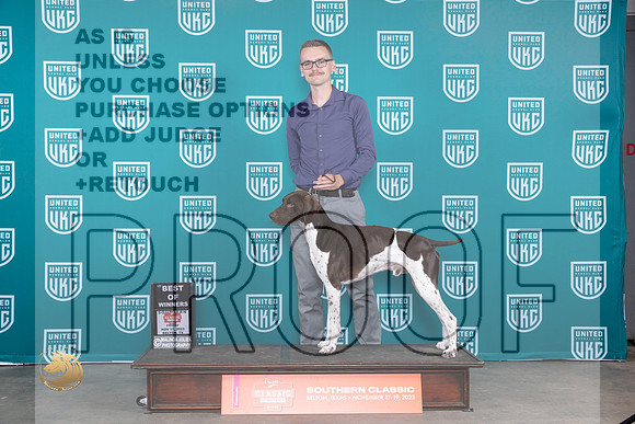 German Shorthaired Pointer #356 Fri BMBOW Judge Nina Marie Sherrer_JP_2787_UKCBeltonNov_2023_HR3