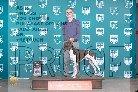 German Shorthaired Pointer #356 Fri BMBOW Judge Nina Marie Sherrer_JP_2789_UKCBeltonNov_2023_HR3