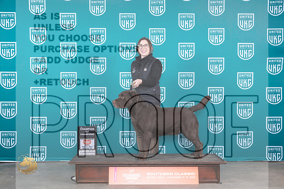 Labrador Retriever #228 Fri COC Judge Carianna Glenn_JP_2802_UKCBeltonNov_2023_HR3