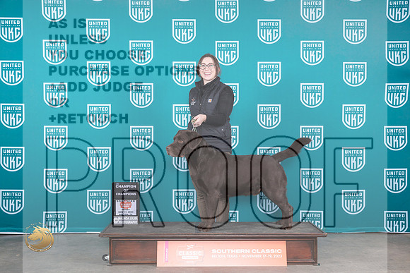 Labrador Retriever #228 Fri COC Judge Carianna Glenn_JP_2803_UKCBeltonNov_2023_HR3