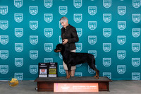 Rottweiler #191 Fri WBBOBG4 Judge Antonio Raposo