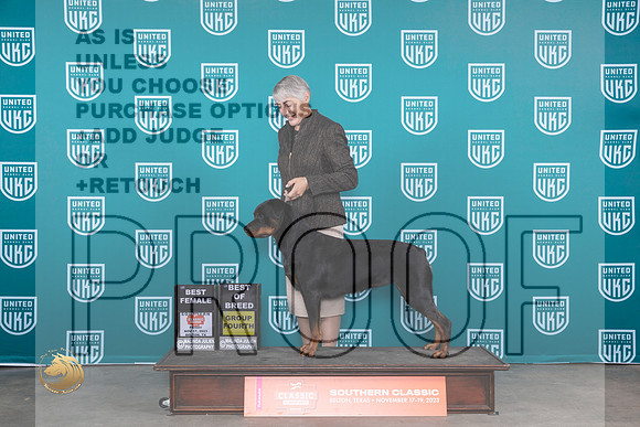 Rottweiler #191 Fri WBBOBG4 Judge Antonio Raposo_JP_2821_UKCBeltonNov_2023_HR3