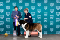 St Bernard #184 Fri RBIS Judge Antonio Raposo