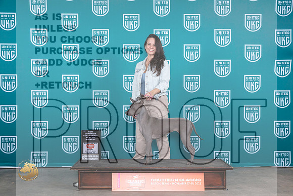 Thai Ridgeback #150 Fri BOWCH Judge Polly Drake Jones_JP_2889_UKCBeltonNov_2023_HR3
