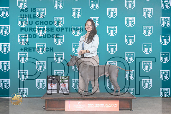 Thai Ridgeback #159 Fri G3CH Judge Karen Hynek_JP_2844_UKCBeltonNov_2023_HR3