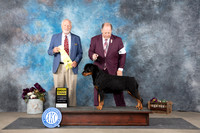 Rottweiler #10 Sun G3 Judge Eric Leibes