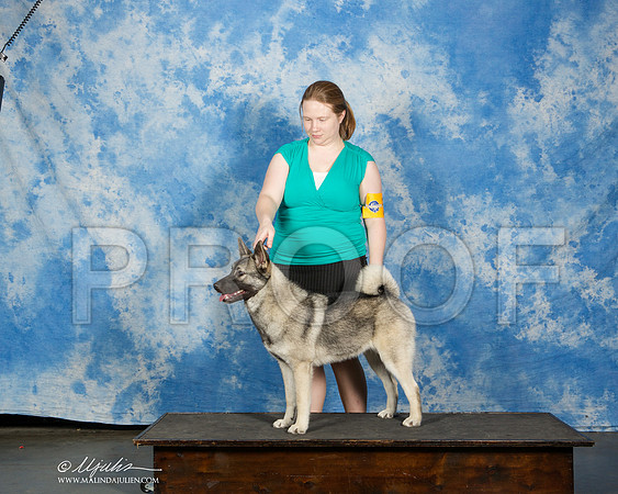_ST_9876-CnroeJul2014-HR3