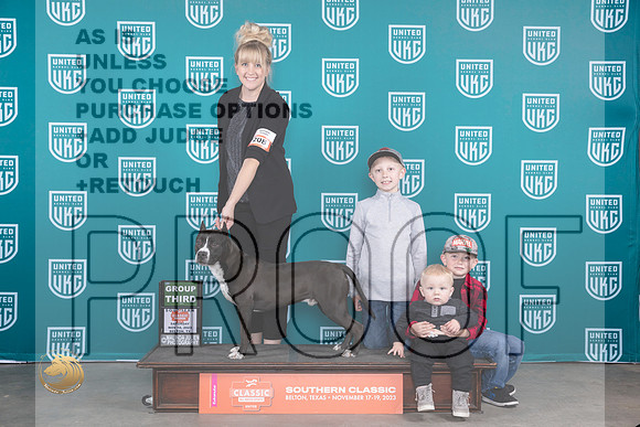 American Pit Bull Terrier #208 Sat G3 Judge Nina Marie Sherrer_JP_3535_UKCBeltonNov_2023_HR3