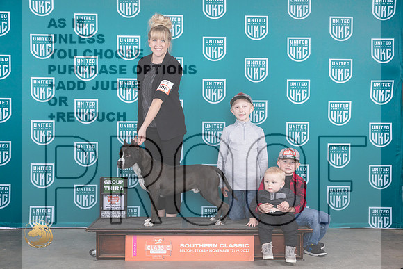 American Pit Bull Terrier #208 Sat G3 Judge Nina Marie Sherrer_JP_3536_UKCBeltonNov_2023_HR3