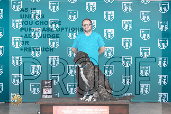 Anatolian Shepherd #149 Sat ROM No Judge_JP_3489_UKCBeltonNov_2023_HR3