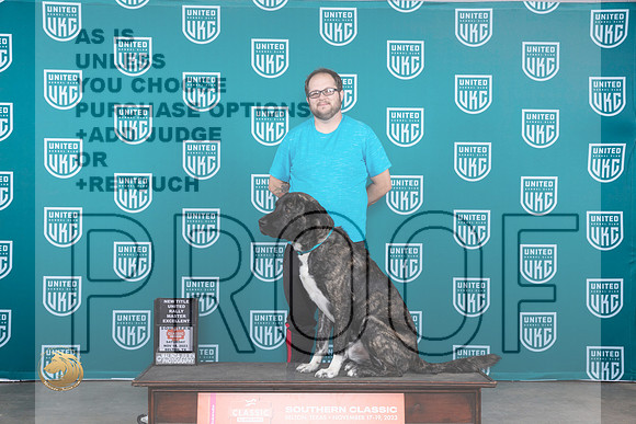 Anatolian Shepherd #149 Sat ROM No Judge_JP_3490_UKCBeltonNov_2023_HR3