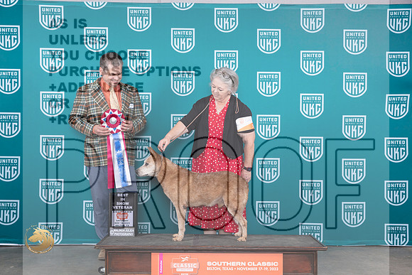 Australian Cattle Dog #524 Sat BISV Judge Antonio Raposo_JP_3736_UKCBeltonNov_2023_HR3
