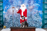 Australian Cattle Dog Mari 2 Santa