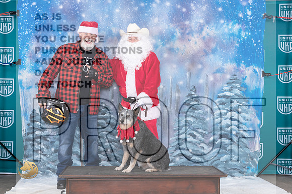 Australian Cattle Dog Mari 2 Santa_JP_3182_UKCBeltonNov_2023_HR3