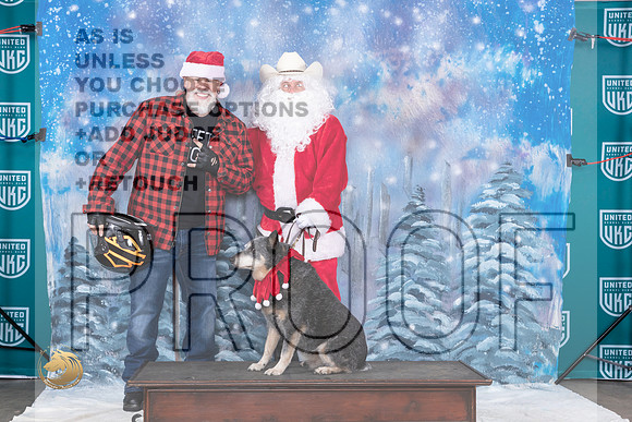 Australian Cattle Dog Mari 2 Santa_JP_3186_UKCBeltonNov_2023_HR3