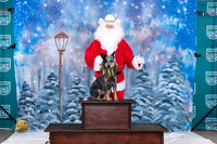 Australian Cattle Dog Santa