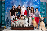 Australian Shepherd #394 Santa