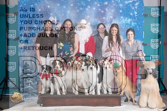 Australian Shepherd #394 Santa_JP_3384_UKCBeltonNov_2023_HR3