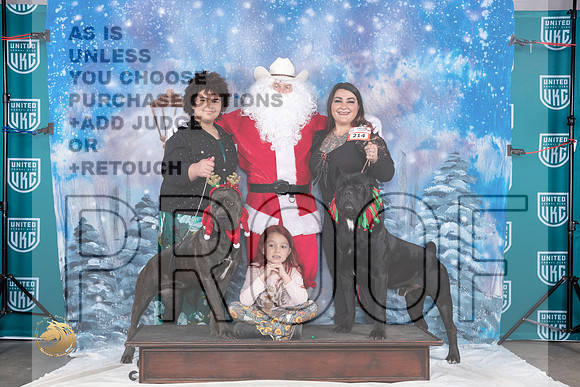 Cane Corsos 2 Santa_JP_3356_UKCBeltonNov_2023_HR3