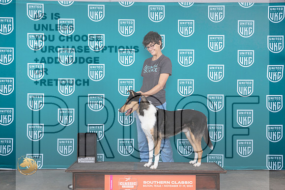 Collie Smooth #148 Sat _JP_3760_UKCBeltonNov_2023_HR3