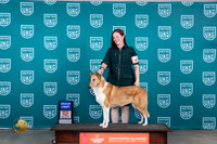 Collie Smooth #401 Sat AG1 Carianna Glenn