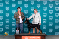 Doberman Pinscher #270 Sat PRBIS Judge Antonio Raposo