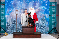 Doberman Pinscher Felicity Santa