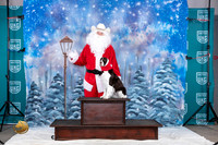 English Springer #300 Santa
