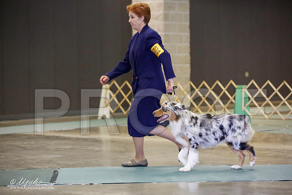 _JN_2809-BeltonJan2015-HR3