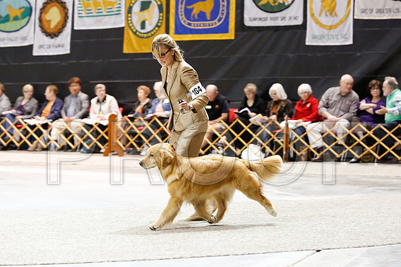 BoBH-5436-WFOct2013-HR