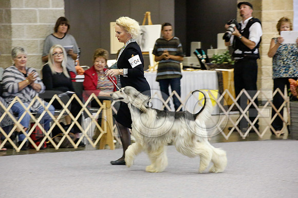 _JJ_1198-AfgBeltonOct2014-HR3